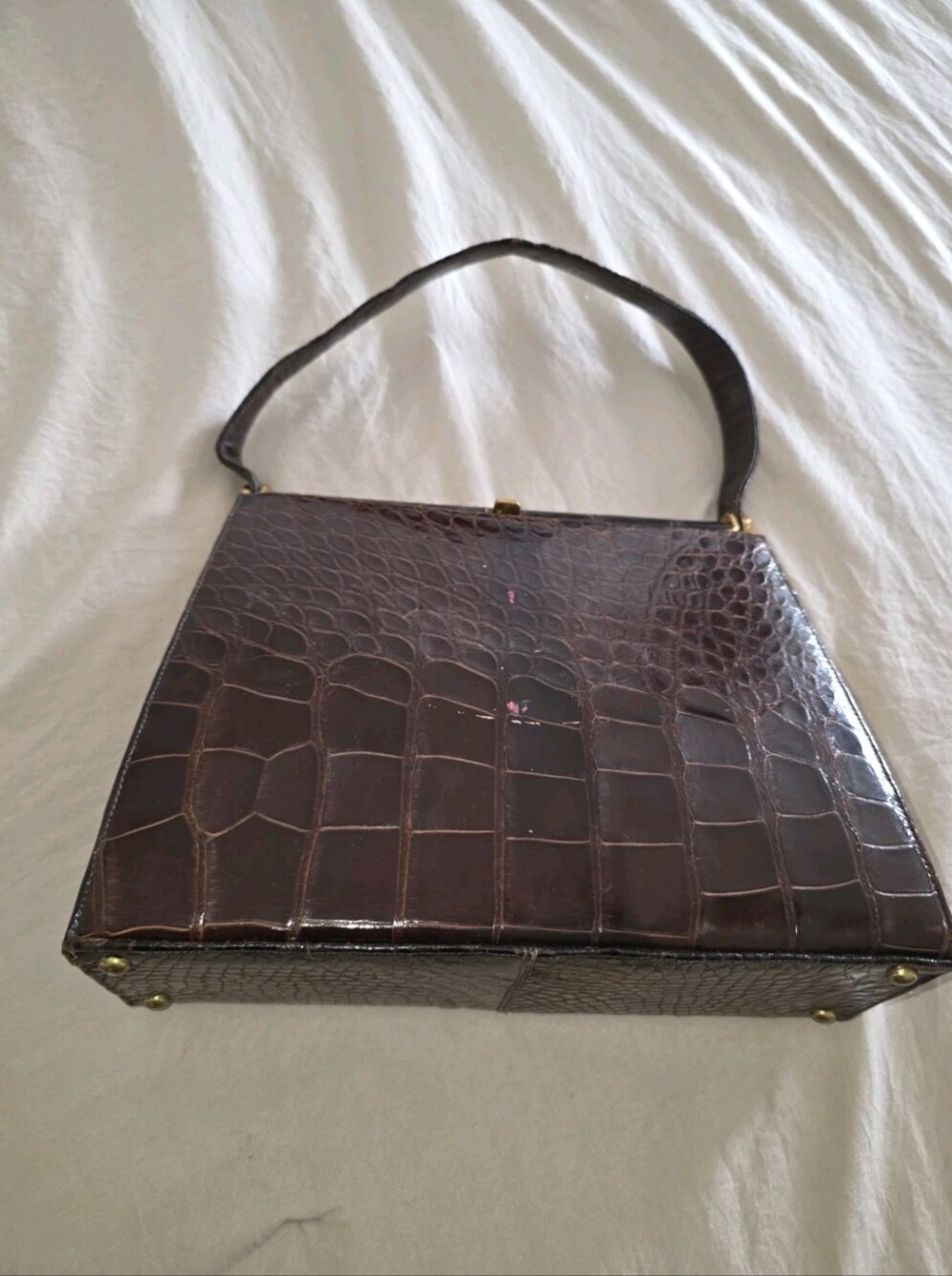 Vintage Alligator Bag - Picture 2 of 14